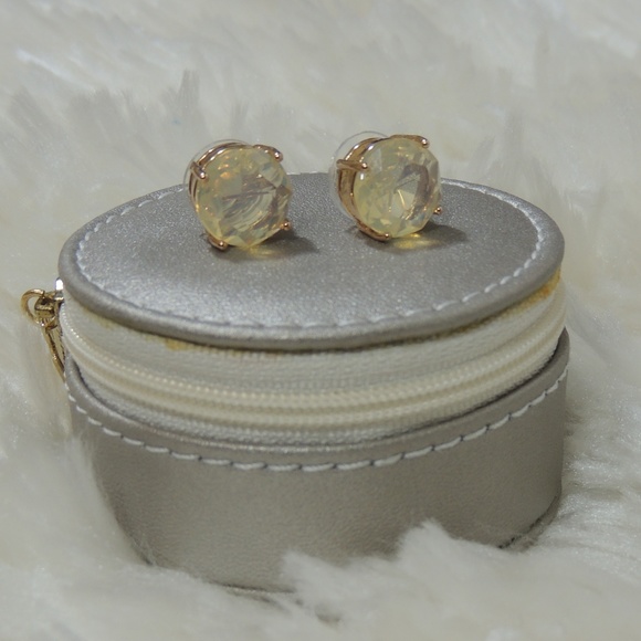 Anne Klein Jewelry - Anne Klein stud earring and travel case